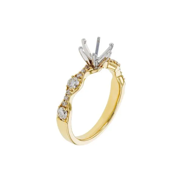 14K Yellow Gold Ring Mounting With 16 Diamonds Image 3 Orin Jewelers Northville, MI