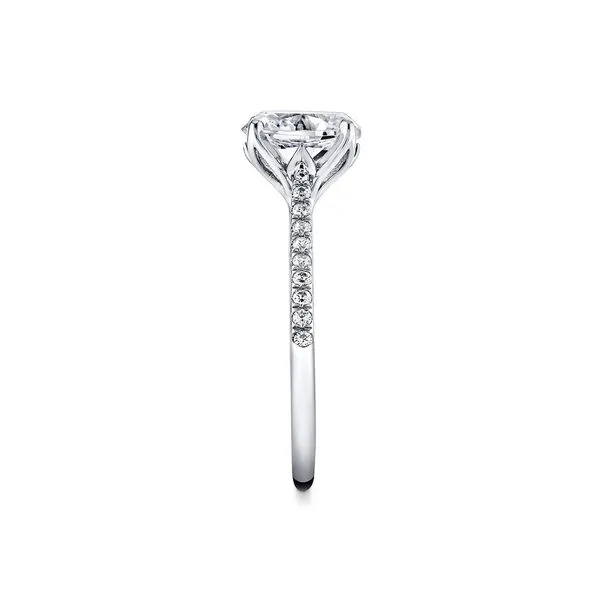 14K White Gold Ring Mounting With 20 Diamonds Image 2 Orin Jewelers Northville, MI