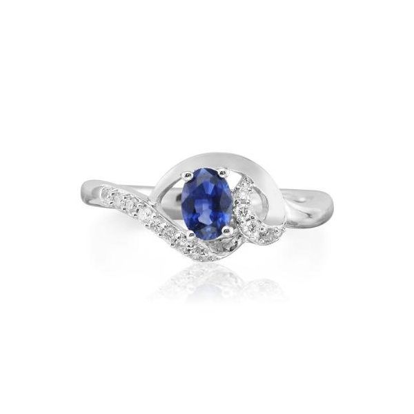 Lady's 14K White Gold Fashion Ring W/1 Sapphire & 12 Diamonds Orin Jewelers Northville, MI