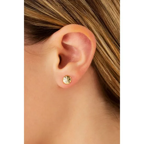 14k Yellow Gold Round Button Earrings Image 2 Orin Jewelers Northville, MI
