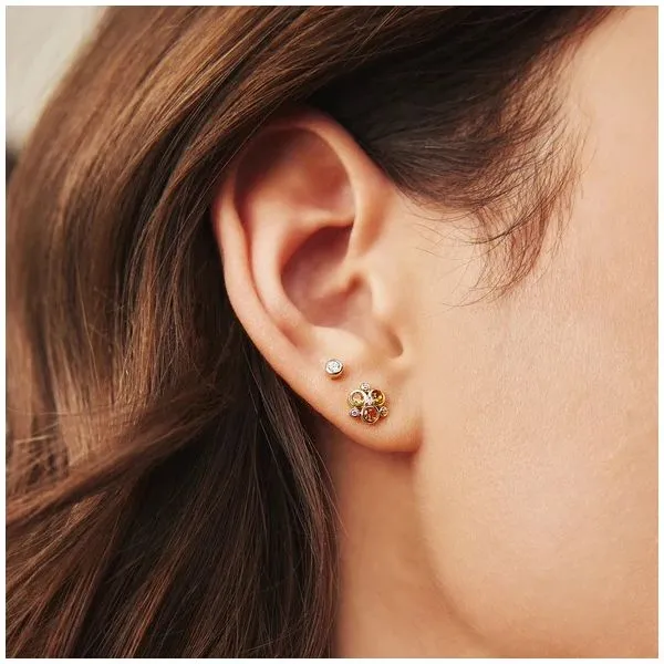 Sterling Silver Gold Plated Earrings Image 2 Orin Jewelers Northville, MI