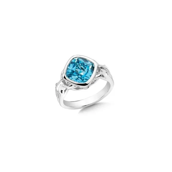 Lady's Sterling Silver Blue Topaz Ring Orin Jewelers Northville, MI