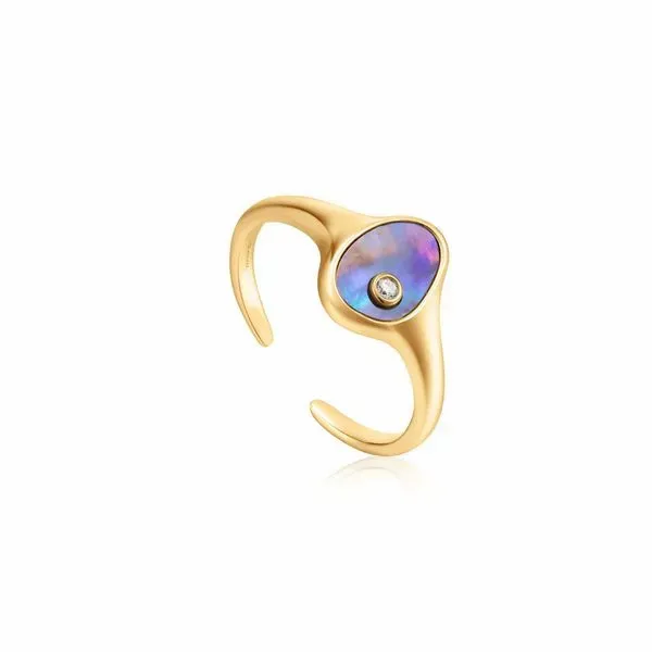 Sterling Silver Gold Plated Tidal Abalone Adjustable Signet Ring By Ania Haie Orin Jewelers Northville, MI