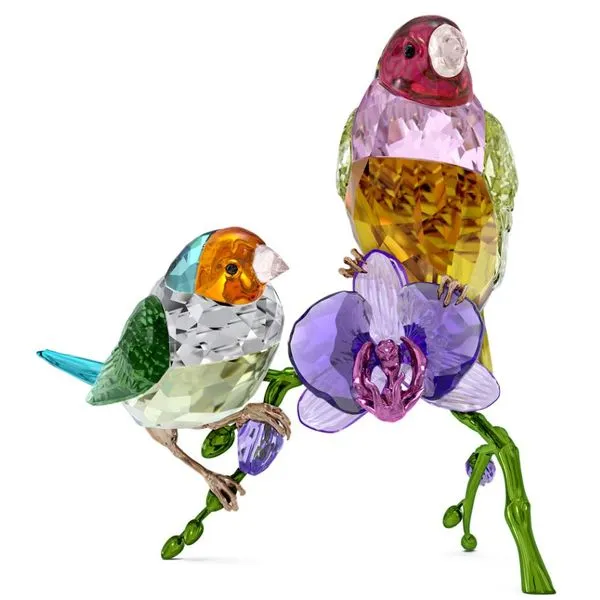 SCS Annual Edition 2024 - Gouldian Finches Orin Jewelers Northville, MI