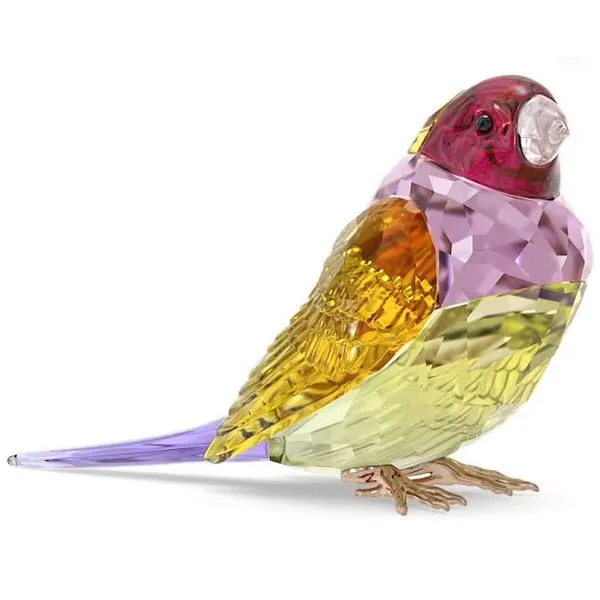 2024 Swarovski Collectors Society -  Idyllia Gouldian Finch, Large Orin Jewelers Northville, MI