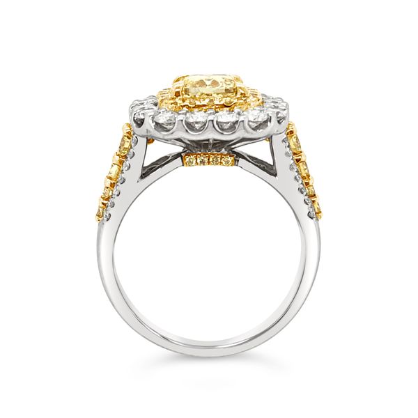 18KT White Gold Pave Halo Fancy Yellow Diamond Ring Image 2 Padis Jewelry San Francisco, CA