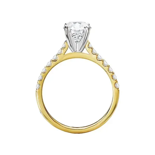YELLOW GOLD ENGAGEMENT RING - YOU CHOOSE YOUR CENTER STONE Image 2 Parkers' Karat Patch Asheville, NC