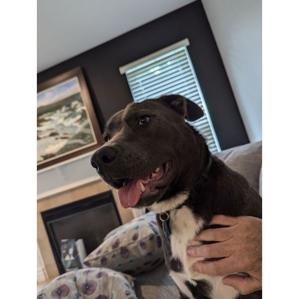 Rembrandt Pendants/Charms Parkers' Karat Patch Asheville, NC