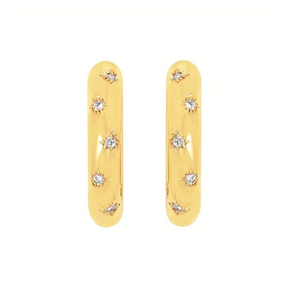 Silver Earrings Pat's Jewelry Centre Sioux Center, IA