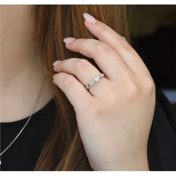 14K White Gold Accented Cathedral Style Engagement Ring Image 2 Paul Bensel Jewelers Yuma, AZ