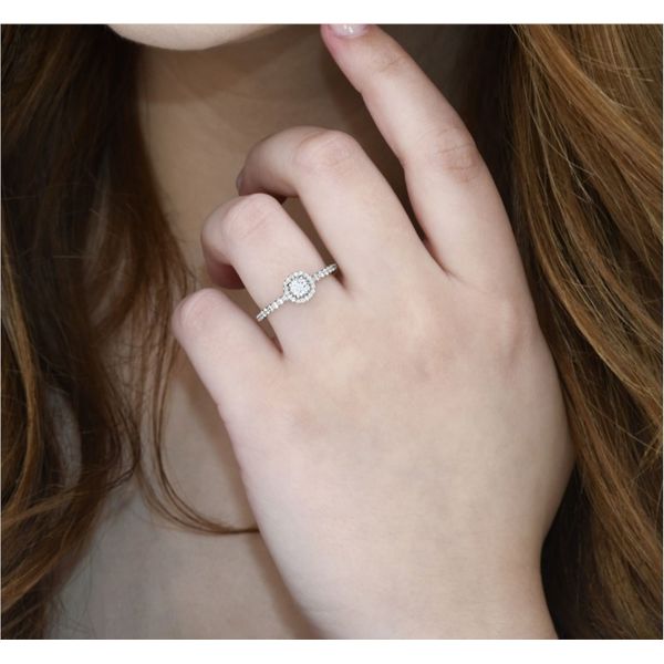 14K White Gold 0.30 ctw Round Halo Engagement Ring Image 3 Paul Bensel Jewelers Yuma, AZ