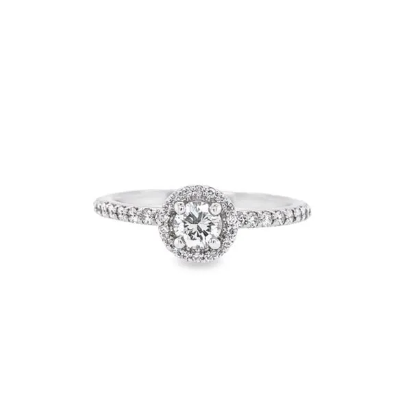 14 Karat White Gold Round Halo Engagement Ring Paul Bensel Jewelers Yuma, AZ