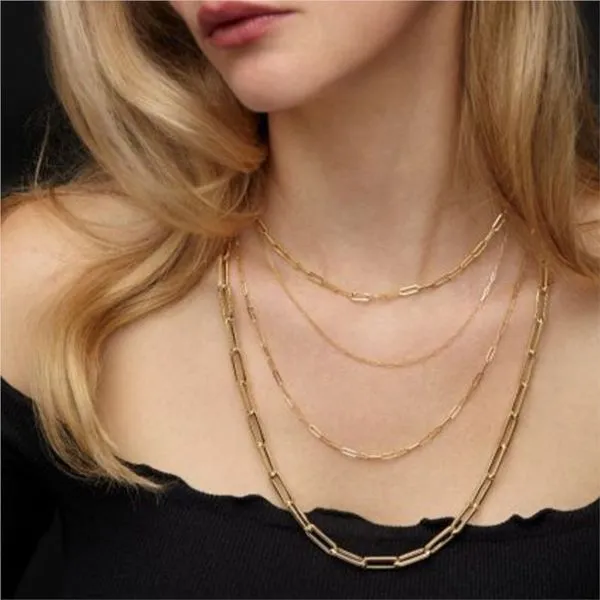 14K Yellow Gold 2.5 mm Paper Clip Chain - 20 inches Image 2 Paul Bensel Jewelers Yuma, AZ