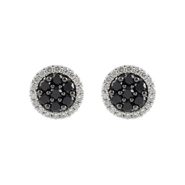 14K White Gold Halo Style Black and White Diamond Cluster Earrings Image 2 Paul Bensel Jewelers Yuma, AZ