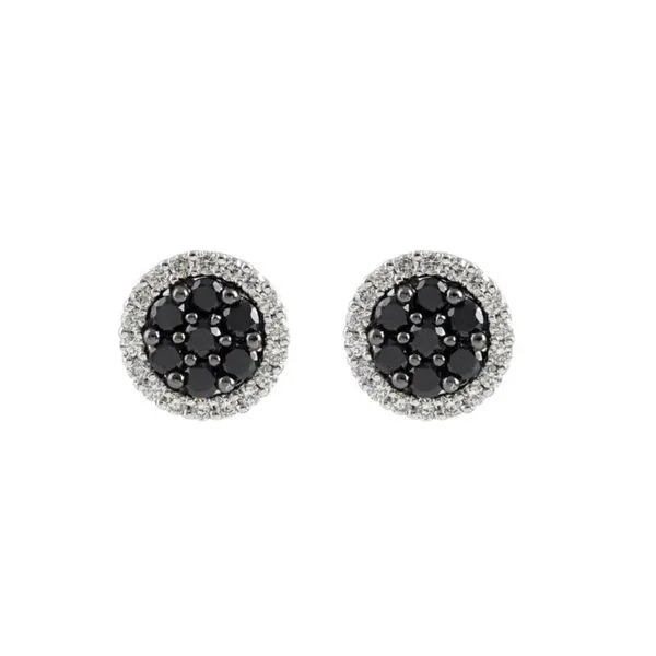 14K White Gold Halo Style Black and White Diamond Cluster Earrings Image 3 Paul Bensel Jewelers Yuma, AZ