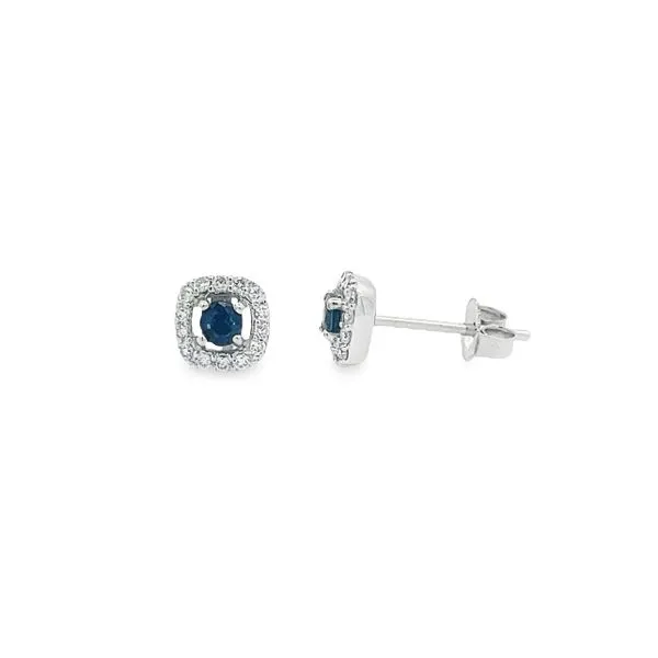 14K White Gold Cushion Shaped Sapphire Halo Studs Image 2 Paul Bensel Jewelers Yuma, AZ