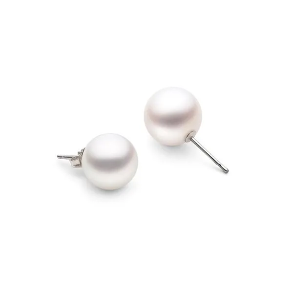 14K White Gold 8 - 8.5 mm Cultured Akoya Studs Image 2 Paul Bensel Jewelers Yuma, AZ