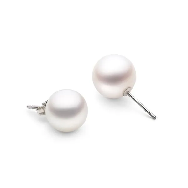 14K White Gold 8 - 8.5 mm Cultured Akoya Studs Paul Bensel Jewelers Yuma, AZ