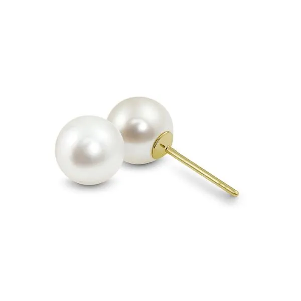 14K Yellow Gold 6 - 6.5 mm Cultured Akoya Studs Paul Bensel Jewelers Yuma, AZ