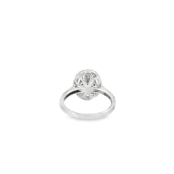 14K White Gold Halo Style Cluster Engagement Ring Image 4 Paul Bensel Jewelers Yuma, AZ