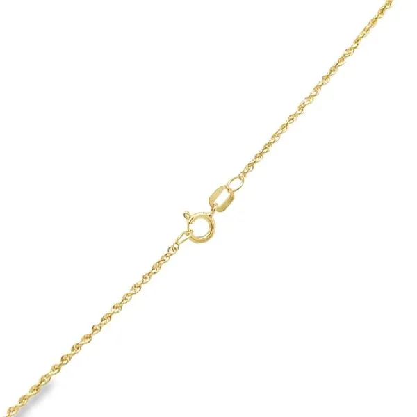 14K Yellow Gold 1.3 mm Diamond Cut Rope Chain - 20 inches Image 2 Paul Bensel Jewelers Yuma, AZ