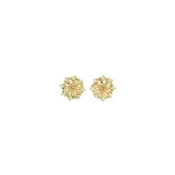 Diamond Earrings Perry's Emporium Wilmington, NC