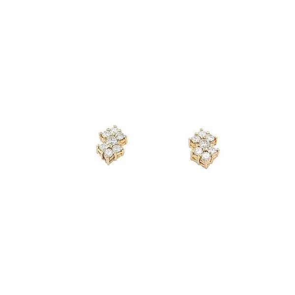 Diamond Earrings Perry's Emporium Wilmington, NC