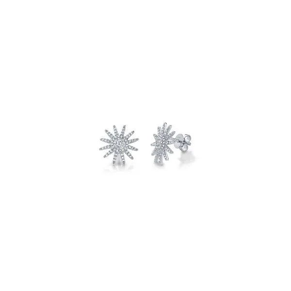 Diamond Earrings Perry's Emporium Wilmington, NC