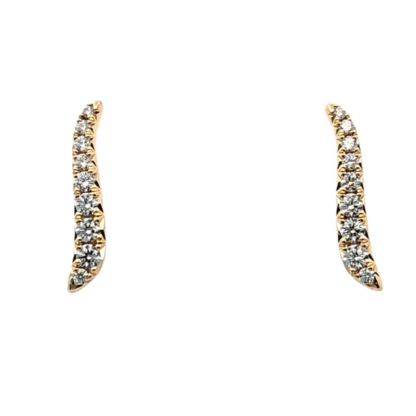 Diamond Earrings Perry's Emporium Wilmington, NC