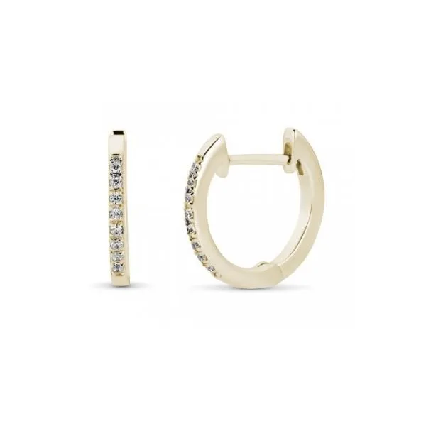 Diamond Earrings Perry's Emporium Wilmington, NC