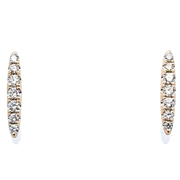 Diamond Earrings Perry's Emporium Wilmington, NC