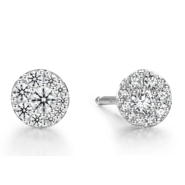 Diamond Earrings Perry's Emporium Wilmington, NC