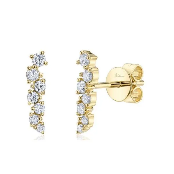 Diamond Earrings Perry's Emporium Wilmington, NC