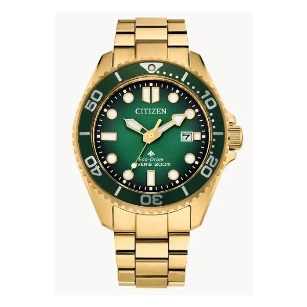 Promaster Dive BN0262-59W Perry's Emporium Wilmington, NC