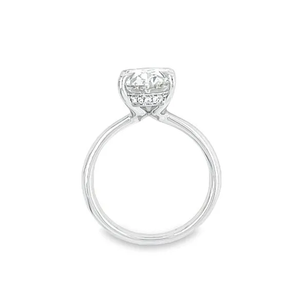 Lab Grown Diamond Engagement Ring, 3.60ctw Image 3 Peter & Co. Jewelers Avon Lake, OH