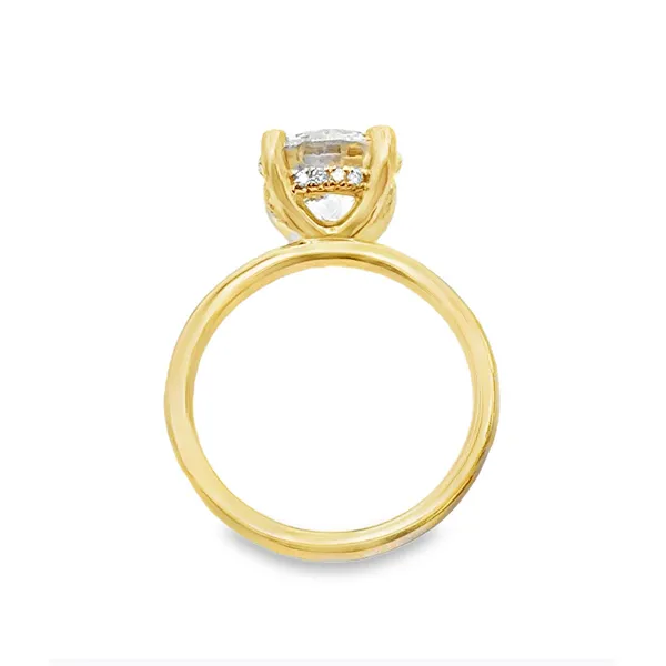 Lab Grown Diamond Engagement Ring, 3.08ctw Image 3 Peter & Co. Jewelers Avon Lake, OH