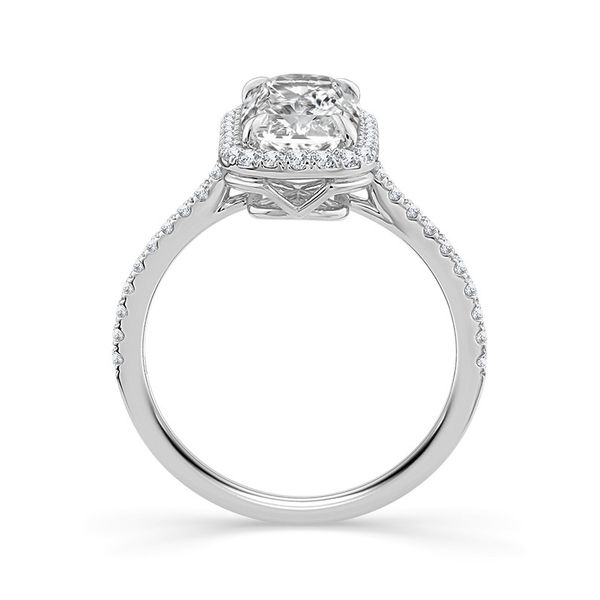 Lab Grown Diamond Engagement Ring 3.37ctw Image 3 Peter & Co. Jewelers Avon Lake, OH