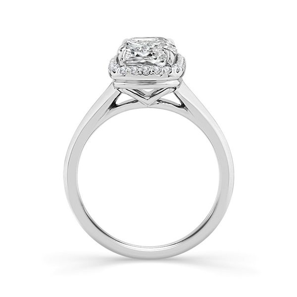 Lab Grown Diamond Engagement Ring 4.20ctw Image 3 Peter & Co. Jewelers Avon Lake, OH