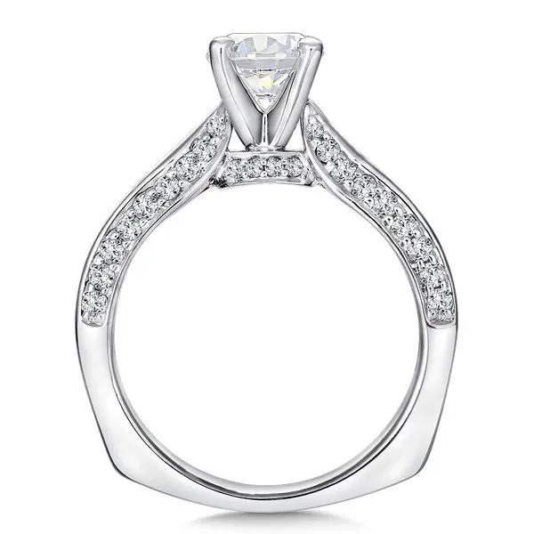 Round Shape Cathedral Valina Engagement Ring Image 2 Peter & Co. Jewelers Avon Lake, OH