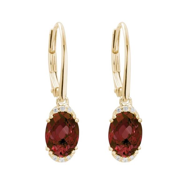 Garnet & Diamond Leverback Earrings Peter & Co. Jewelers Avon Lake, OH