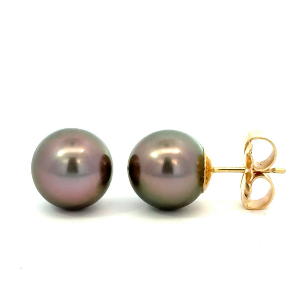 Tahitian Pearl Stud Earrings Peter & Co. Jewelers Avon Lake, OH