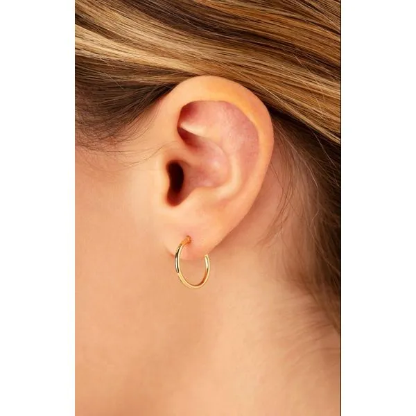 Yellow Gold Hoop Earrings Image 2 Peter & Co. Jewelers Avon Lake, OH