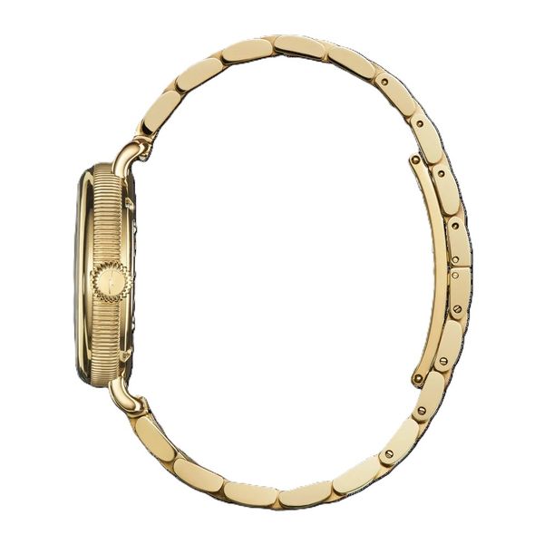 Shinola Birdy 34mm Lapis Image 3 Peter & Co. Jewelers Avon Lake, OH