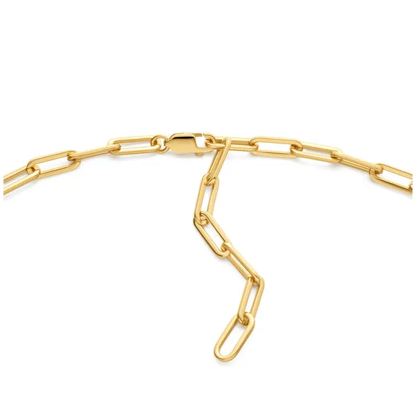 Ania Haie Gold Linked Chunky Chain Necklace Image 2 Peter & Co. Jewelers Avon Lake, OH
