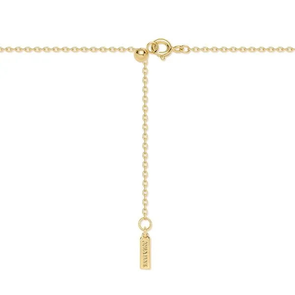Ania Haie Gold Tiger Eye Droplet Pendant Necklace Image 3 Peter & Co. Jewelers Avon Lake, OH