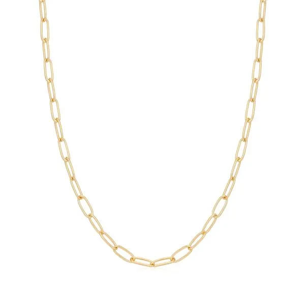 Ania Haie Gold Link Charm Chain Necklace Peter & Co. Jewelers Avon Lake, OH