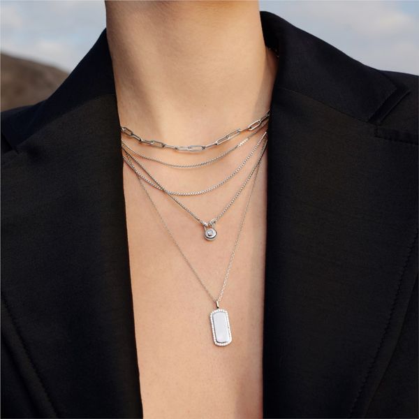 Ania Haie Silver Sparkling Tag Necklace Image 2 Peter & Co. Jewelers Avon Lake, OH