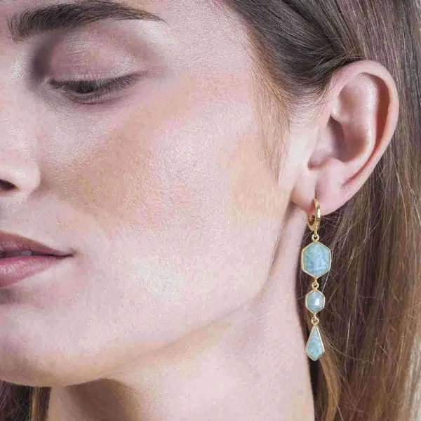 Jorge Revilla Amazonite Drop Earrings Image 2 Peter & Co. Jewelers Avon Lake, OH