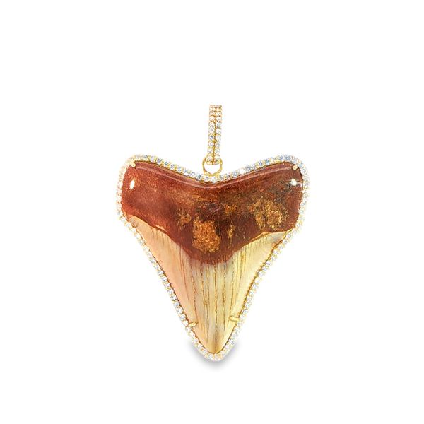 18KY Fossilized Megaladon Tooth and Diamond Pendant Pickens, Inc. Jewelers Atlanta, GA