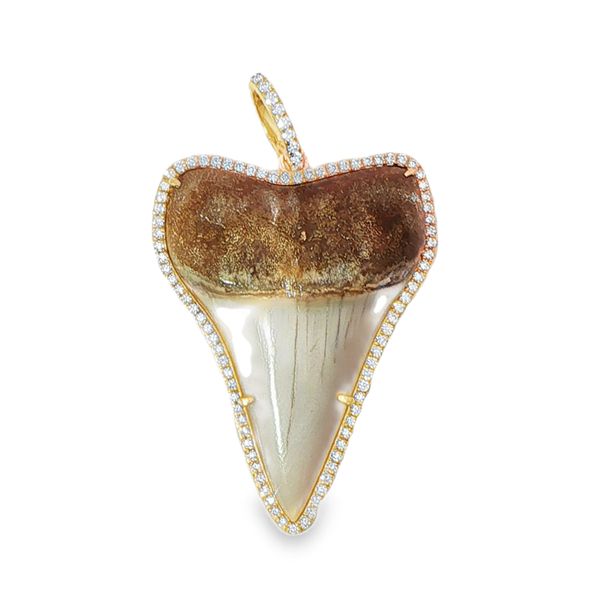 18KY Fossilized Megalodon and Diamond Pendant Pickens, Inc. Jewelers Atlanta, GA